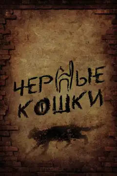 Черные кошки (2013) - Постер 1