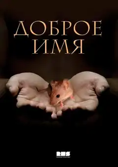 Доброе имя (2014) - Постер 1