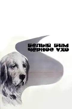 Белый Бим Черное ухо (1976) - Постер 1