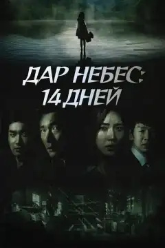 Дар небес: 14 дней (2014) - Постер 1