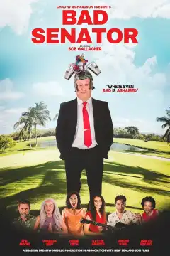 Плохой сенатор (2023) - Постер 1