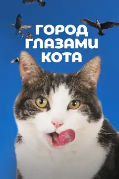 Город глазами кота (2018) - Постер 1