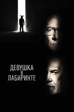 Девушка в лабиринте (2019) - Постер 1