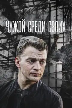 Чужой среди своих (2014) - Постер 1