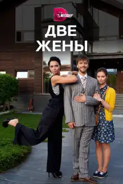 Две жены (2017) - Постер 1