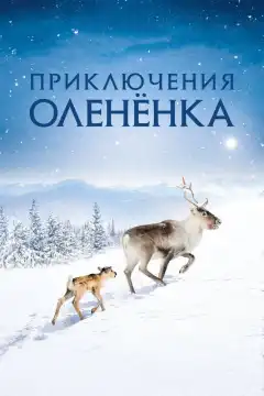Приключения оленёнка (2018) - Постер 1