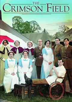 Багряное поле (2014) - Постер 1