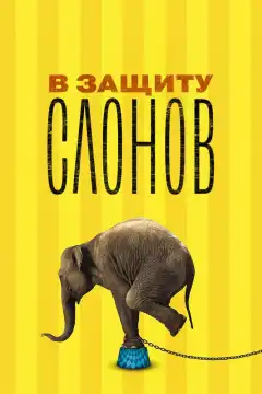 В защиту слонов (2013) - Постер 1