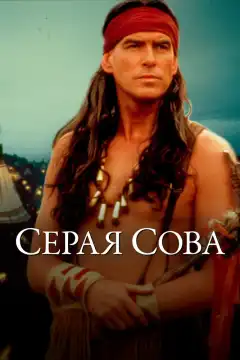 Серая сова (1999) - Постер 1