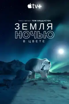 Земля ночью в цвете (2020) - Постер 1