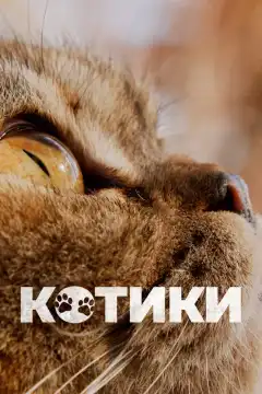 Котики (2022) - Постер 1