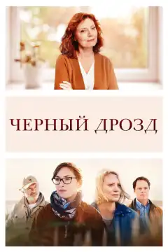 Чёрный дрозд (2019) - Постер 1