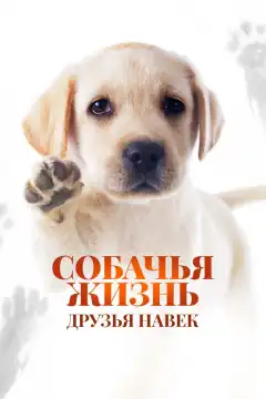 Собачья жизнь: Друзья навек (2023) - Постер 1