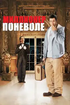 Миллионер поневоле (2002) - Постер 1