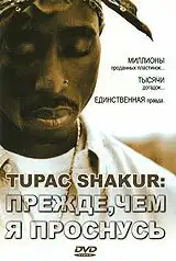 Tupac Shakur: Прежде, чем я проснусь (2001) - Постер 1