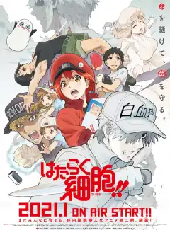 Работа клеток (2018) - Постер 1