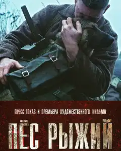 Пёс рыжий (2016) - Постер 1