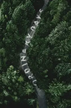 Обычные дни (2017) - Постер 1