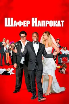 Шафер напрокат	 (2015) - Постер 1