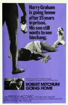 Иди домой (1971) - Постер 1