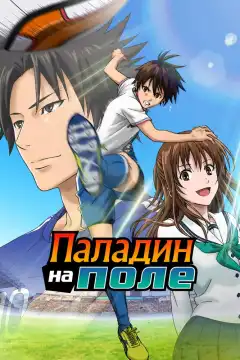 Паладин на поле (2012) - Постер 1