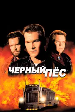 Черный пес (1998) - Постер 1