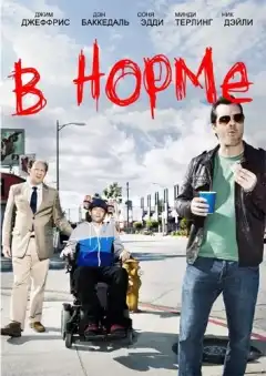 В норме (2013) - Постер 1