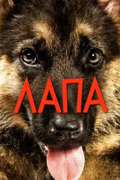 Лапа (2015) - Постер 1