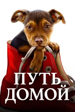 Путь домой (2019) - Постер 1