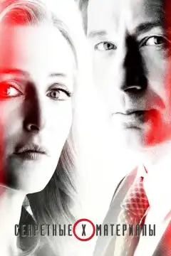 Секретные материалы (1993) - Постер 1