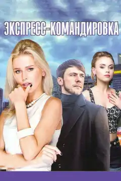 Экспресс-командировка (2016) - Постер 1
