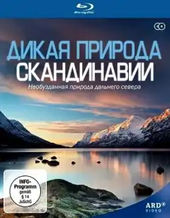 Дикая природа Скандинавии (2011) - Постер 1