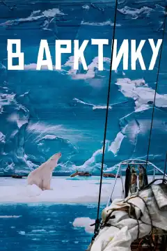 В Арктику (2023) - Постер 1