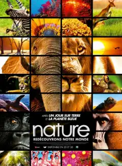 Заколдованное королевство 3D (2014) - Постер 1