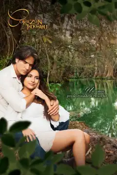 Непокорное сердце (2013) - Постер 1