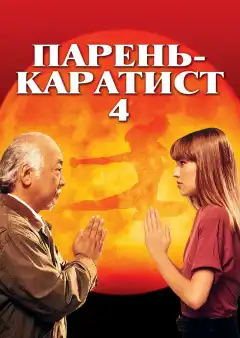 Парень каратист 4 (1994) - Постер 1