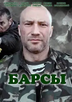 Барсы (2015) - Постер 1
