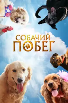 Собачий побег (2023) - Постер 1
