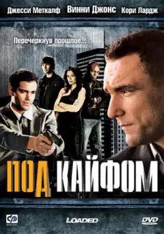 Под кайфом (2008) - Постер 1