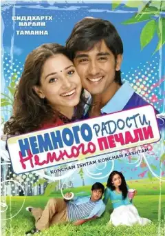 Немного радости, немного печали (2009) - Постер 1