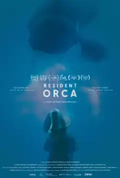 Резидентная косатка (2024) - Постер 1