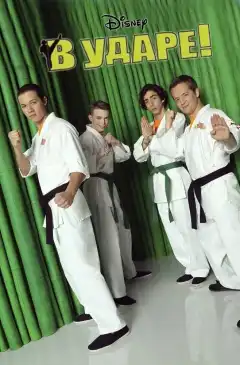 В ударе (2011) - Постер 1