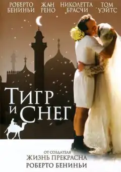Тигр и снег (2005) - Постер 1