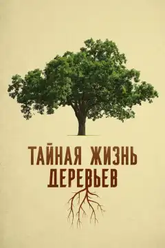 Деревья: гении мира природы (2020) - Постер 1