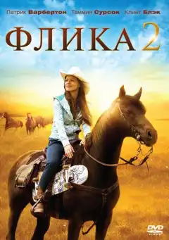 Флика 2 (2010) - Постер 1