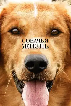 Собачья жизнь (2017) - Постер 1