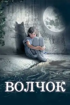 Волчок (2009) - Постер 1